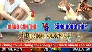 Trận 44 CPC5 20/9/2025 - Anh Giang Cần Thơ Và Anh Công Đồng Tháp