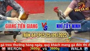 Trận 44 CPC5 25/9/2025 - Anh Giang Tiền Giang Và Anh Nhí Tây Ninh