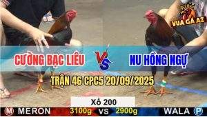 Trận 46 CPC5 20/9/2025 - Anh Cường Va Phải Anh Nu Hồng Ngự, Mất 2 Xị