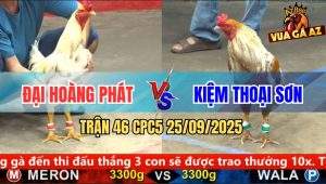Trận 46 CPC5 25/9/2025 - Tranh Nhì 1: Đại Hoàng Phát Và Kiệm Thoại Sơn