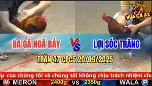 Trận 47 CPC5 20/9/2025 - Anh Ba Gà Ngã Bảy Và Anh Lợi Sóc Trăng