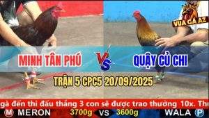 Trận 5 CPC5 21/9/2025 - Anh Minh Tân Phú Và Anh Quậy Củ Chi