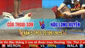 Trận 5 CPC5 22/9/2025 - Anh Của Thoại Sơn Và Anh Hậu Long Xuyên