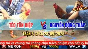 Trận 5 CPC5 23/9/2025 - Anh Tèo Tân Hiệp Và Anh Nguyễn Đồng Tháp