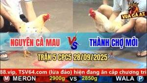 Trận 5 CPC5 28/9/2025 - Anh Nguyên Long Xuyên Và Anh Thành Chợ Mới