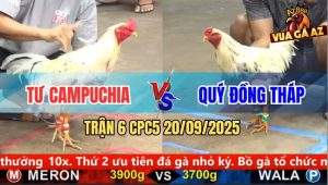 Trận 6 CPC5 21/9/2025 - Anh Tư Campuchia Và Anh Quý Đồng Tháp