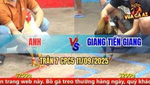 Trận 7 CPC5 11/9/2025 - Gà Úa Tiễn Chuối Mặt Râu Lên Đường Nhanh Gọn