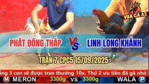Trận 7 CPC5 15/9/2025 - Anh Phát Đồng Tháp Và Anh Linh Long Khánh
