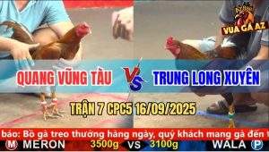 Trận 7 CPC5 16/9/2025 - Anh Quang Vũng Tàu Và Anh Trung Long Xuyên
