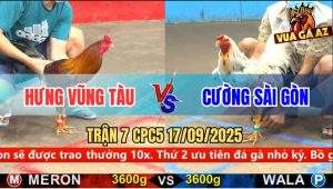 Trận 7 CPC5 17/9/2025 - Anh Hưng Vũng Tàu Và Anh Cương Sài Gòn