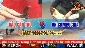 Trận 7 CPC5 21/9/2025 - Anh Bảo Cần Thơ Và Anh Un Campuchia