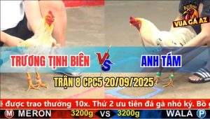 Trận 8 CPC5 20/9/2025 - Anh Trương Tịnh Biên Và Anh Tám