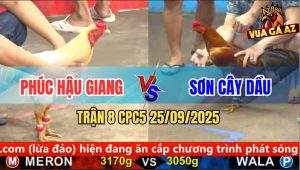 Trận 8 CPC5 25/9/2025 - Anh Phúc Hậu Giang Và Anh Sơn Cây Dầu