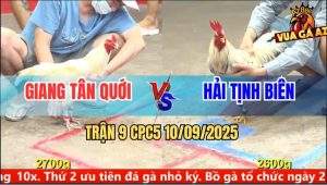 Trận 9 CPC5 10/9/2025 - Anh Giang Tân Quới Và Anh Hải Tịnh Biên