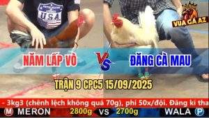 Trận 9 CPC5 15/9/2025 - Anh Năm Lấp Vò Và Anh Đăng Cà Mau