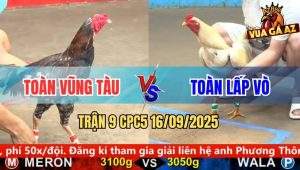 Trận 9 CPC5 16/9/2025 - Anh Toàn Vũng Tàu Và Anh Toàn Lấp Vò