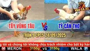 Trận 9 CPC5 24/9/2025 - Anh Tây Vũng Tàu Và Anh Tý Cần Thơ