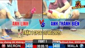 Trận 1 CPC6 31/10/2025 - Gà Bướm Anh Thanh Biện Tải Cựa Quá Tốt