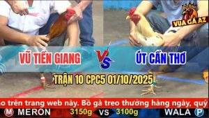Trận 10 CPC5 1/10/2025 - Anh Vũ Tiền Giang và Anh Út Cần Thơ