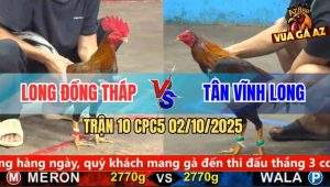 Trận 10 CPC5 2/10/2025 - Anh Long Đồng Tháp và Anh Tân Vĩnh Long