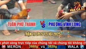 Trận 11 CPC5 12/10/2025 - Anh Tuấn Phú Thanh Và Anh Phương Vĩnh Long
