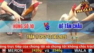Trận 11 CPC5 13/10/2025 - Anh Hùng Số 10 Và Anh Bé Tân Châu
