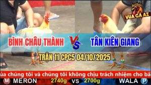 Trận 11 CPC5 4/10/2025 - Anh Bình Châu Thành Và Anh Tân Kiên Giang