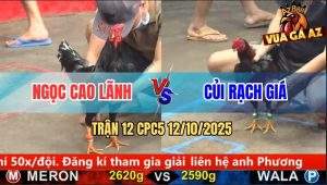 Trận 12 CPC5 12/10/2025 - Anh Ngọc Cao Lãnh Và Anh Củi Rạch Giá