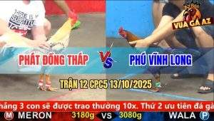 Trận 12 CPC5 13/10/2025 - Anh Phát Đồng Tháp Và Anh Phú Vĩnh Long