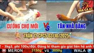 Trận 12 CPC5 3/10/2025 - Anh Cương Chợ Mới Và Anh Tân Nhà Bàng