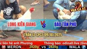 Trận 13 CPC5 9/10/2025 - Anh Long Kiên Giang Và Anh Bảo Tân Phú