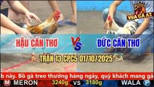 Trận 13 CPC5 1/10/2025 - Anh Hậu Cần Thơ Và Anh Đức Cần Thơ