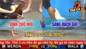 Trận 13 CPC5 11/10/2025 - Anh Bình Chợ Mới Và Anh Sang Rạch Giá
