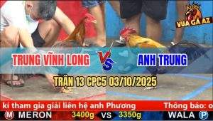 Trận 13 CPC5 3/10/2025 - Anh Trung Vĩnh Long Và Anh Trung