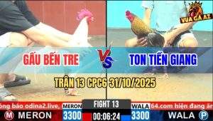 Trận 13 CPC6 31/10/2025 - Gà Xám Anh Ton Đâm Bướm Anh Gấu Đứng Hết Nổi