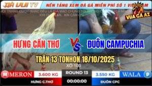Trận 13 TonHon 18/10/2025 - Cú Bắt Bướm Hưng Cần Thơ Ngay Tay Nước Đầu