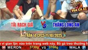 Trận 14 CPC5 11/10/2025 - Anh Tài Rạch Giá Và Anh Thắng Long An