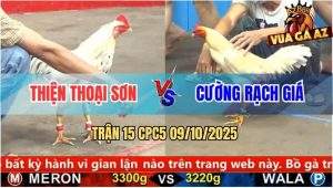 Trận 15 CPC5 9/10/2025 - Anh Thiện Thoại Sơn Và Anh Cường Rạch Giá