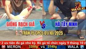 Trận 15 CPC5 1/10/2025 - Anh Giống Rạch Giá Và Anh Hà Tây Ninh