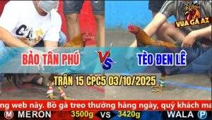 Trận 15 CPC5 3/10/2025 - Anh Bảo Tân Phú Và Anh Tèo Đen Lê