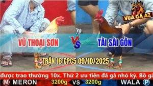Trận 16 CPC5 9/10/2025 - Anh Vũ Thoại Sơn Và Anh Tài Sài Gòn