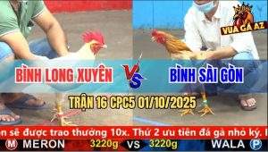 Trận 16 CPC5 1/10/2025 - Anh Bình Long Xuyên Và Anh Bình Sài Gòn