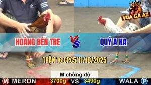 Trận 16 CPC5 11/10/2025 - Anh Hoàng Bến Tre Và Anh Quý A Ka