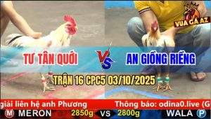 Trận 16 CPC5 3/10/2025 - Anh Tư Tân Quới Và Anh An Giồng Riềng