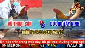 Trận 16 CPC5 4/10/2025 - Anh Vũ Thoại Sơn Và Anh Dương Tây Ninh