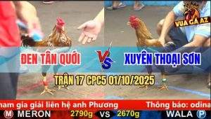 Trận 17 CPC5 1/10/2025 - Anh Đen Tân Quới Và Anh Xuyên Thoại Sơn
