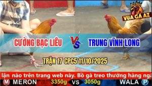 Trận 17 CPC5 11/10/2025 - Anh Cường Bạc Liêu Và Anh Trung Vĩnh Long