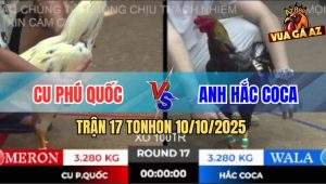 Trận 17 TonHon 10/10/2025 - Anh Cu Phú Quốc Và Anh Hắc Coca