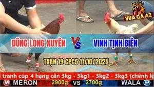 Trận 18 CPC5 11/10/2025 - Anh Dũng Long Xuyên Và Anh Vinh Tịnh Biên