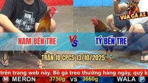 Trận 18 CPC5 13/10/2025 - Anh Nam Bến Tre Và Anh Tý Bến Tre